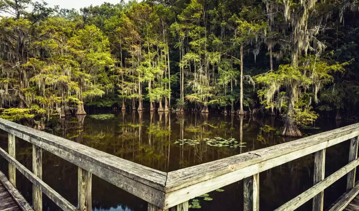 Caddo Lake State Park