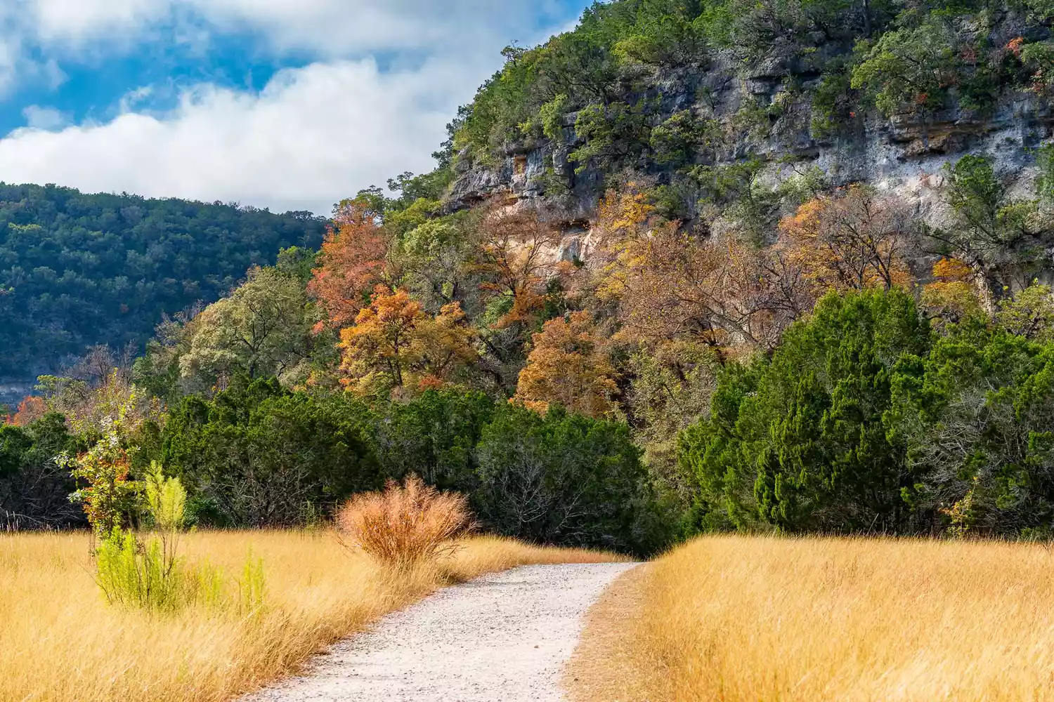 Lost Maples State Natural Area